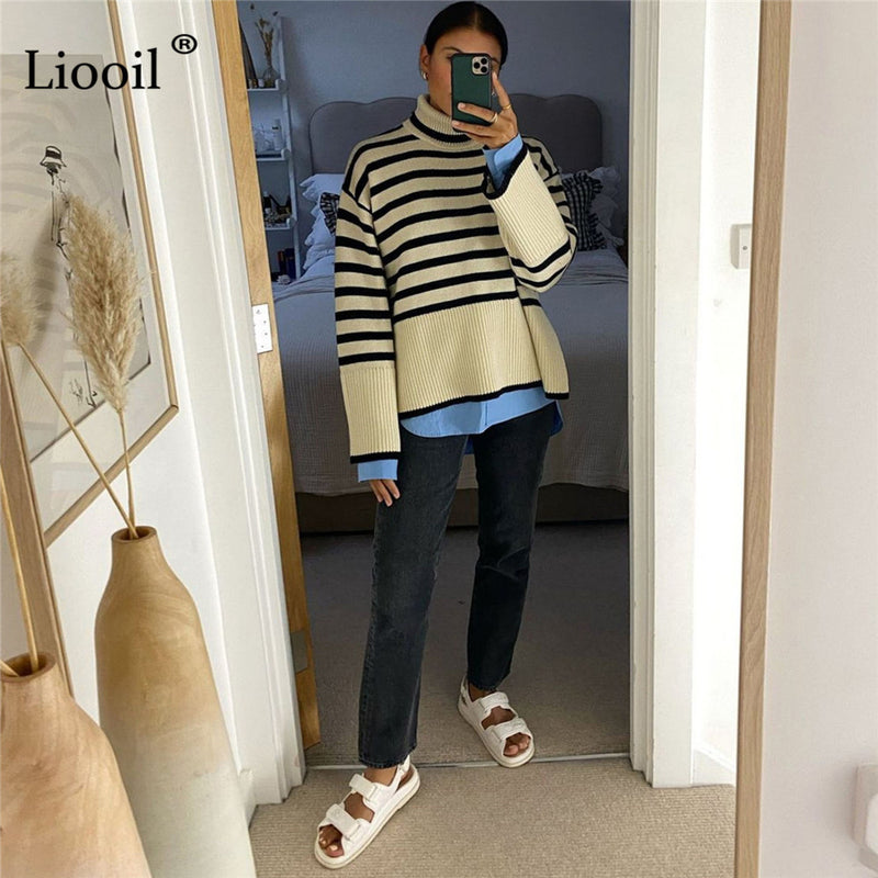 Liooil Sweater